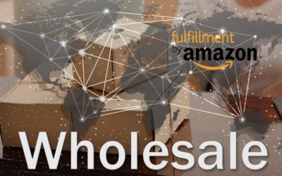 Amazon FBA Wholesale Explained for Beginners | LNIM155