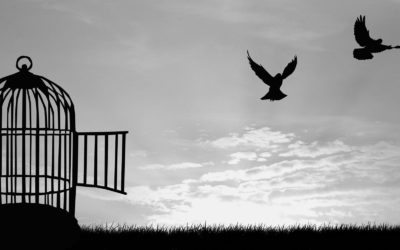 Free The Dream Conference and the Power of Affirmations [LNIM153]